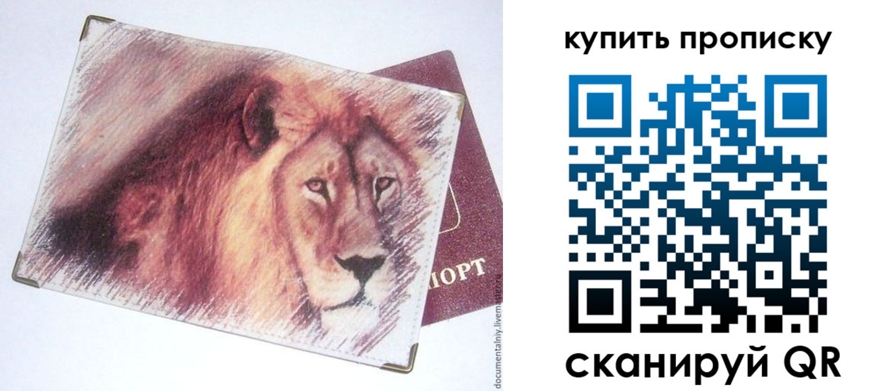 прописка паспорт в Отрадном